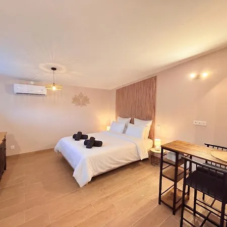 Apartment Du Pretor - Climatisation & Parking Inclus *