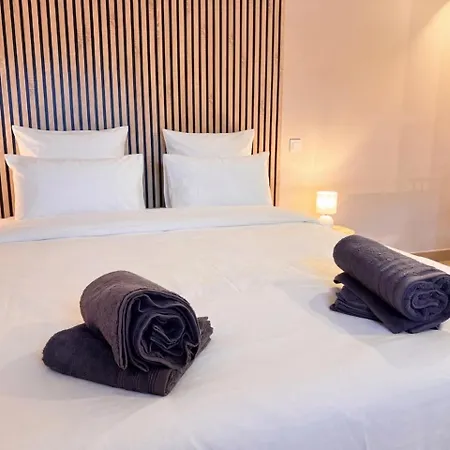 Apartment Du Pretor - Climatisation & Parking Inclus Haguenau